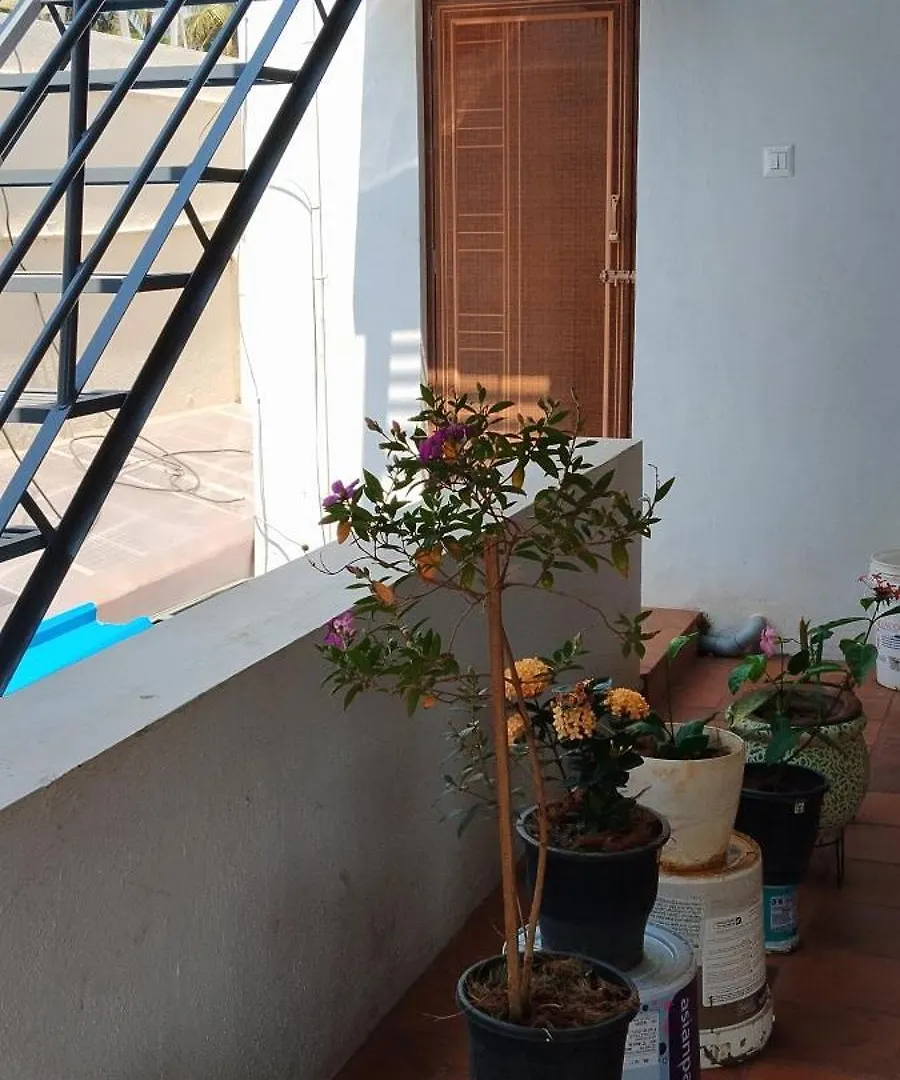 Homestay Karimbummel House- A Room With Spacious Balcony Mysore